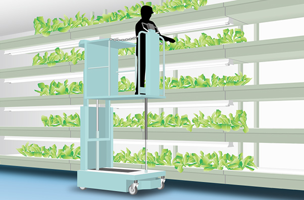 野菜工場