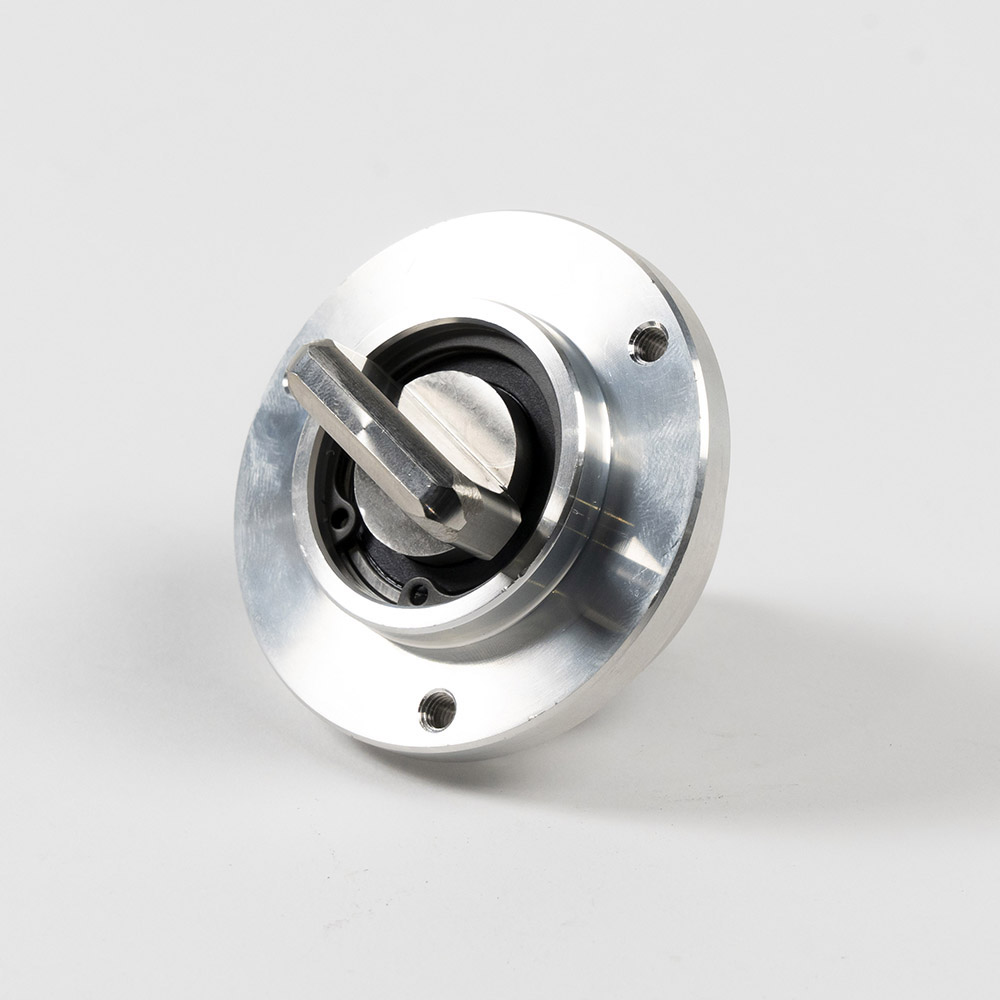 BEARING BOX BRUSH CADRIGEKPL