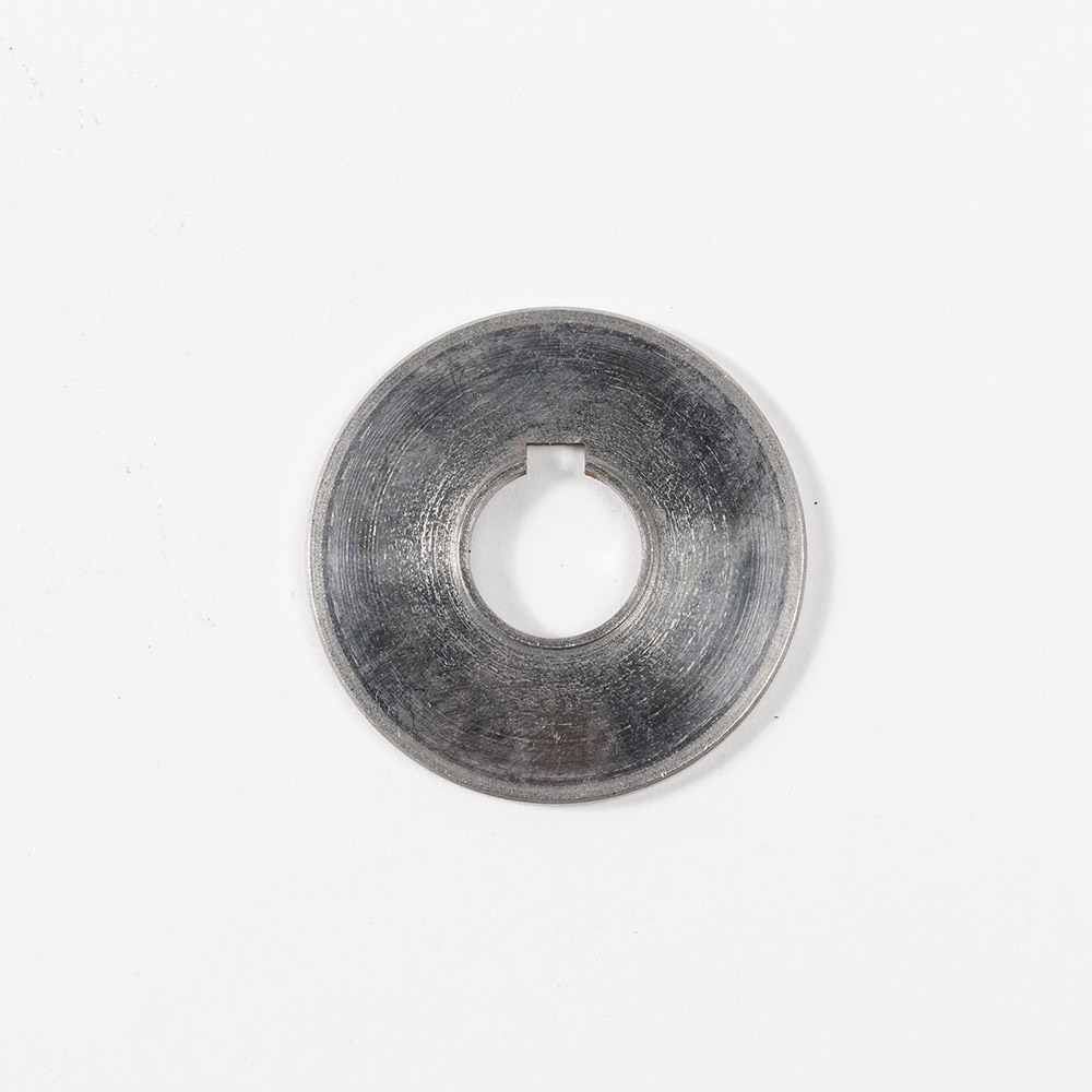 oil retaining ring