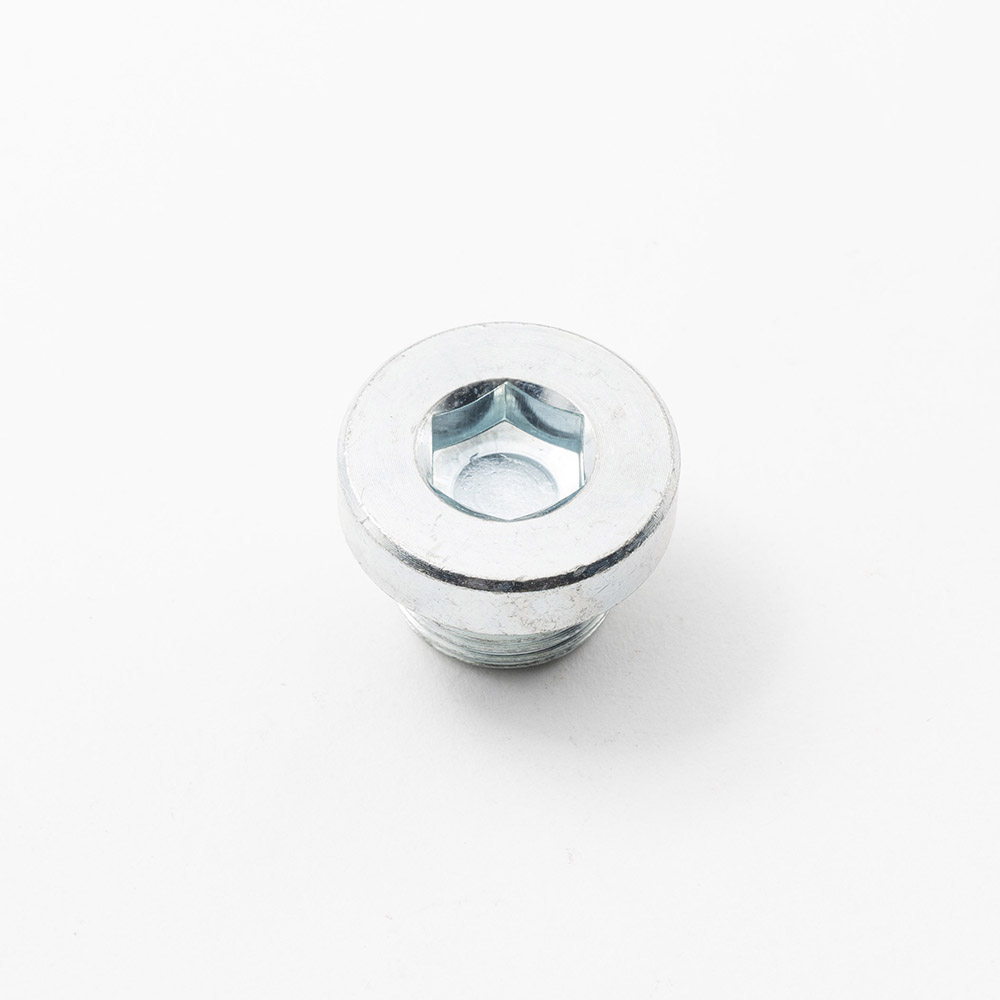 plug screw