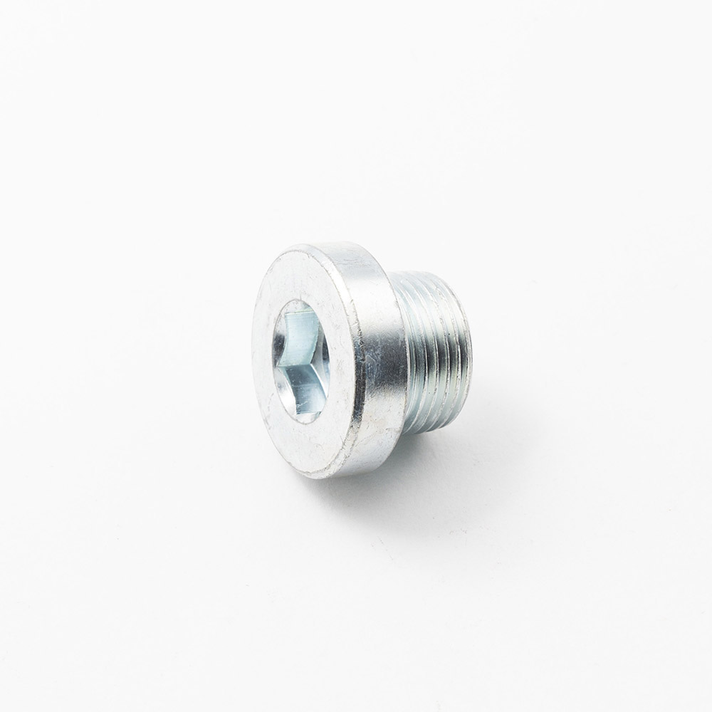plug screw