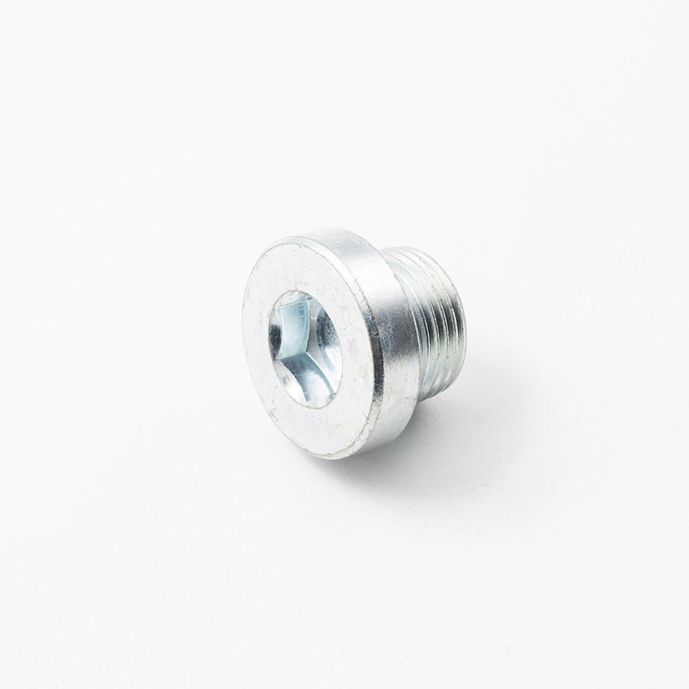 plug screw