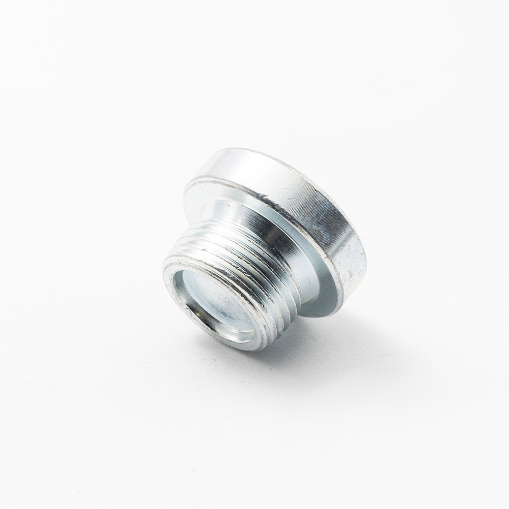 plug screw